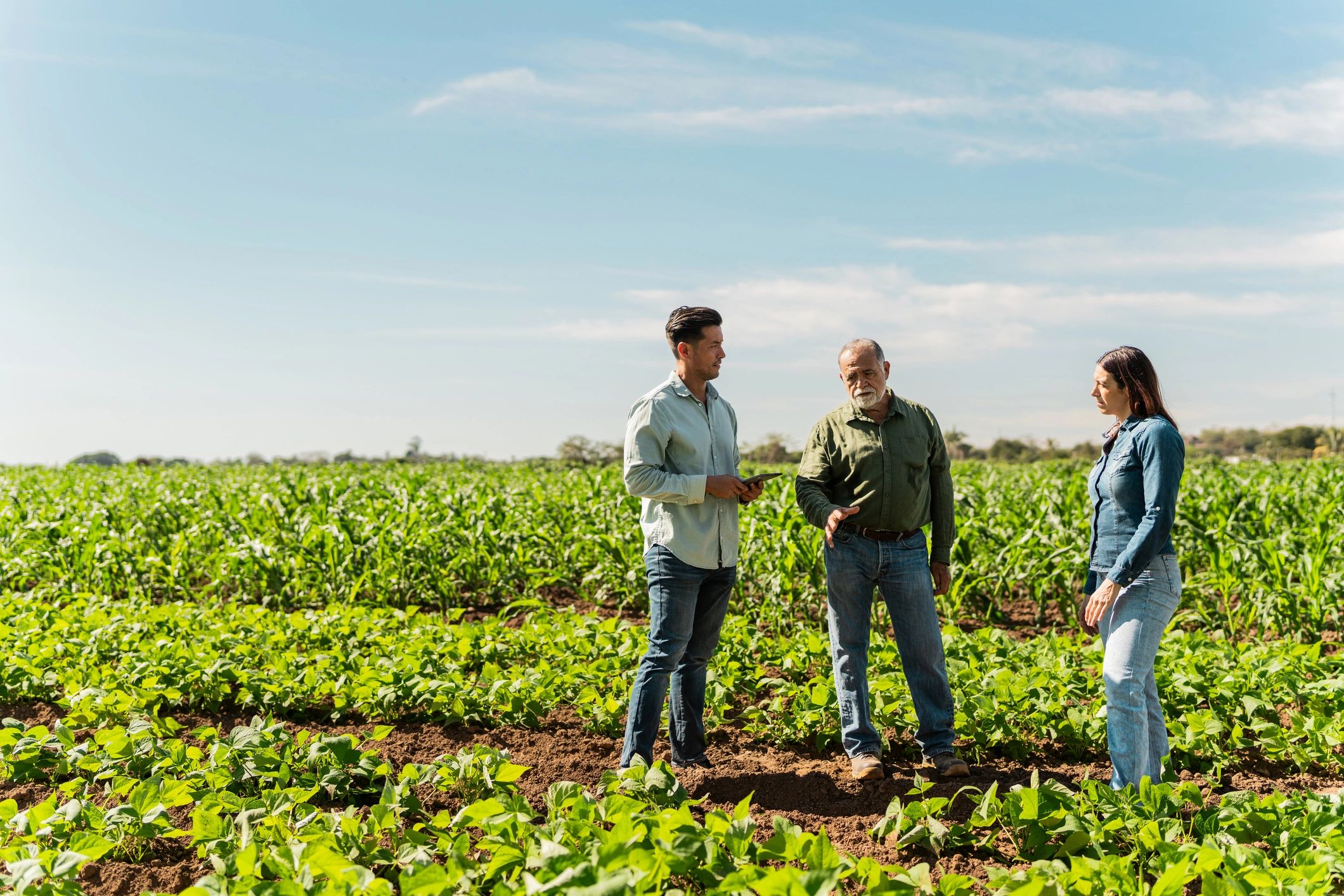 Agronomist speaking with farmers in a field